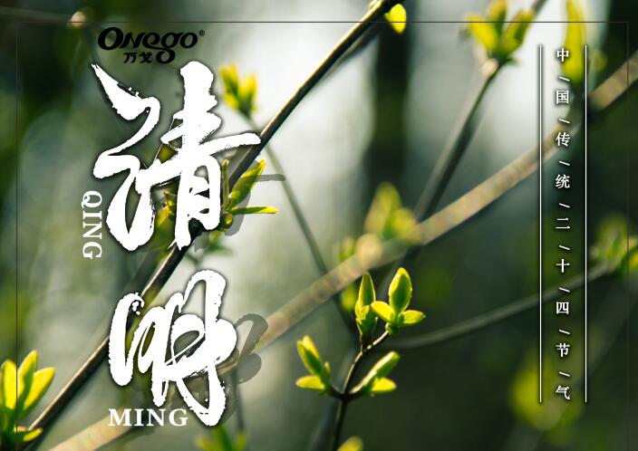 清明時節(jié)雨紛紛，萬戈好紙送健康！
