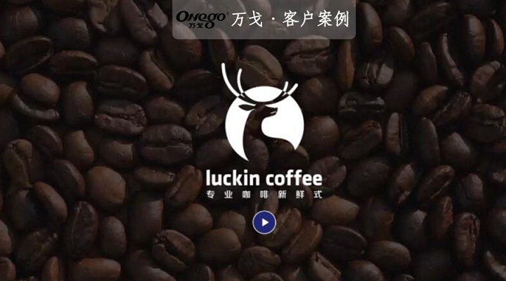 厲害了我的小伙伴！明星級的投入，開50平米小店！